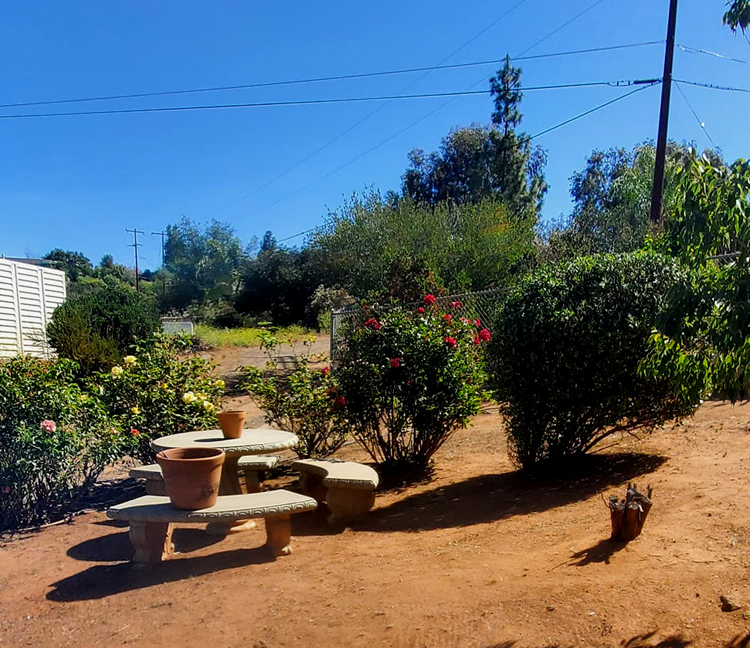 Weed Abatment and Yard Clean Up